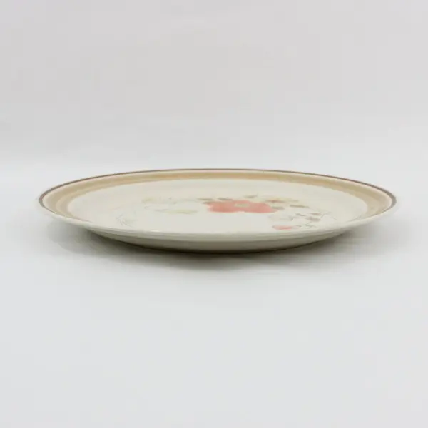 Set of 5 Hearthside Water Colors Blush Dinner Plates  10.5" Japan
