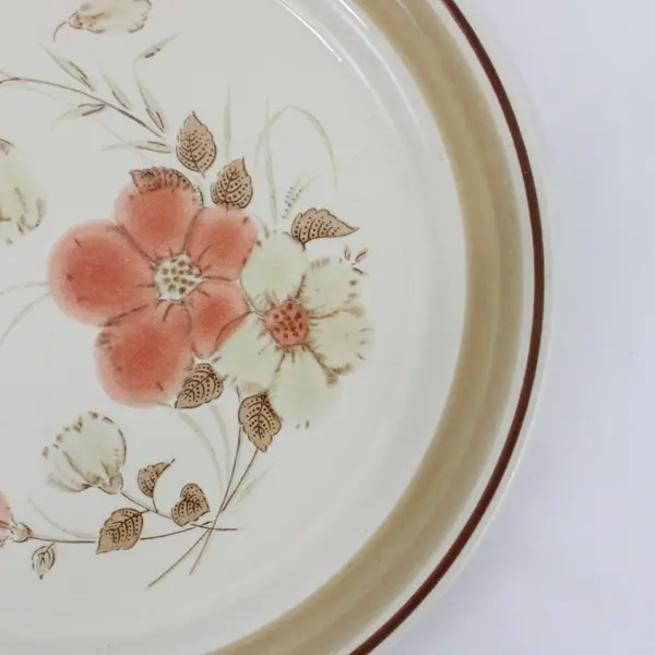 Set of 5 Hearthside Water Colors Blush Dinner Plates  10.5" Japan