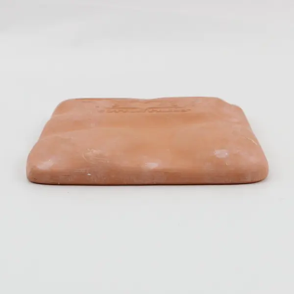 Cotton Press Terra Cotta Cookie Mold Rose Butterfly Fish Seashell