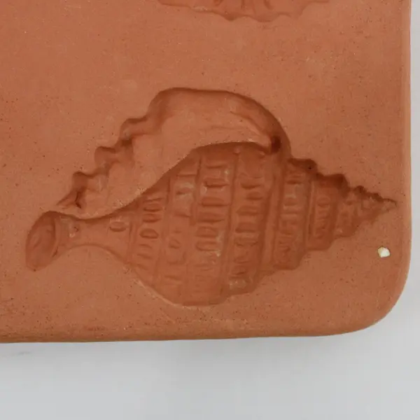 Cotton Press Terra Cotta Cookie Mold Rose Butterfly Fish Seashell