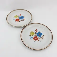 Set of 2 Colonial Stoneware Priscilla Dinner Plates Made in Japan Floral