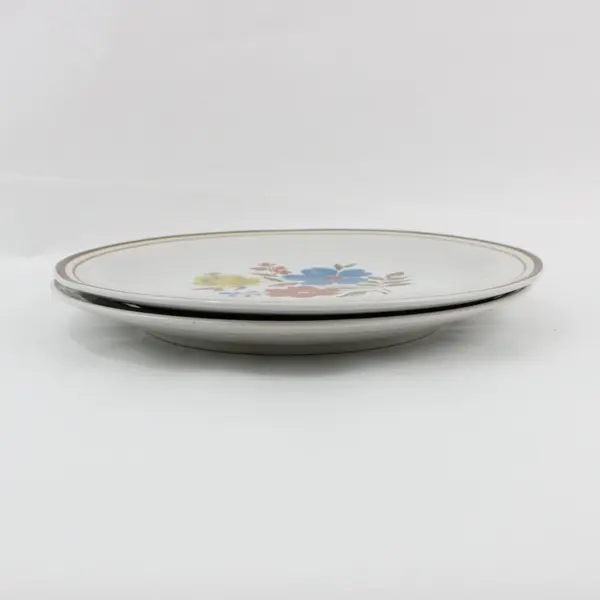Set of 2 Colonial Stoneware Priscilla Dinner Plates Made in Japan Floral