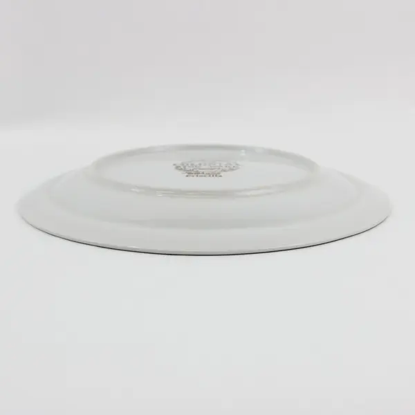 Set of 2 Colonial Stoneware Priscilla Dinner Plates Made in Japan Floral