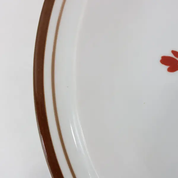 Set of 2 Colonial Stoneware Priscilla Dinner Plates Made in Japan Floral