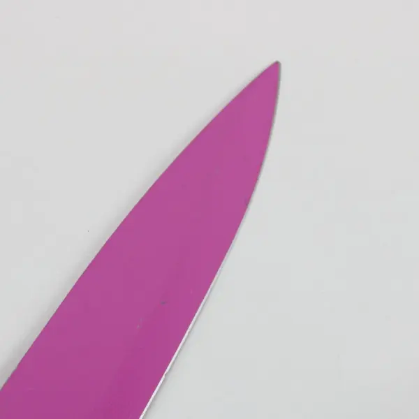 Cuisinart Pink Stainless Steel Carving Knife C5512PCGW-8SL
