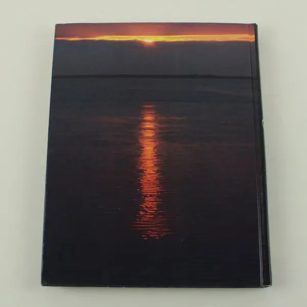 Dawnings: Finding God's Light in the Darkness by Phyllis Hobe