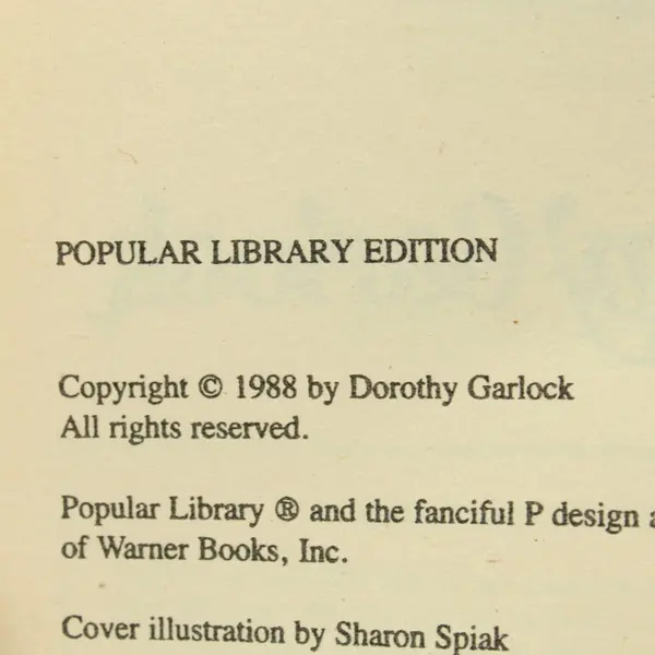 Dorothy Garlock River of Tomorrow Paperback Romance Novel ISBN 0445203668