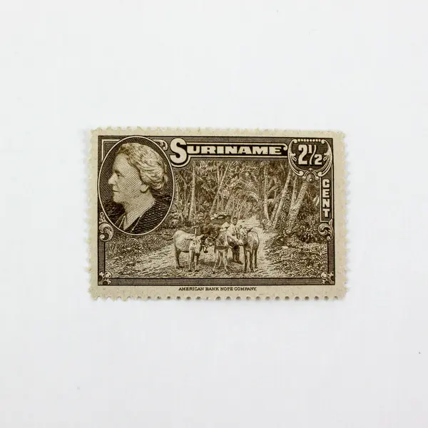 Set of 4 1945 Suriname Queen Wilhelmina Stamps Scott 188-191 Mint Hinged