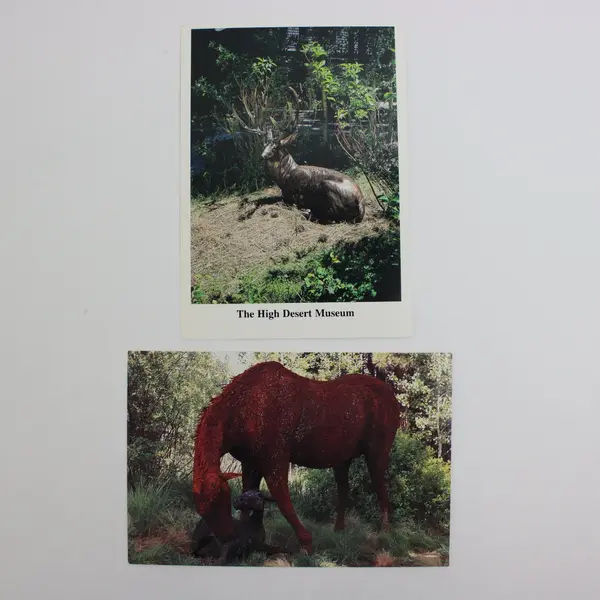 Lot of 2 High Desert Museum Smith-Western CT-2783 Horse Elk Wildlife Postcards