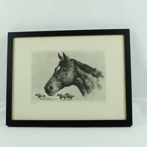 R.H. Palenske Hill Prince Horse Drypoint Lithograph Framed Print