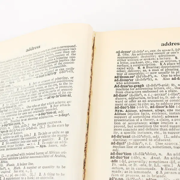 Webster's New Collegiate Dictionary 1959 HC Merriam-Webster G&C Merriam