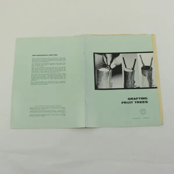 Grafting Fruit Trees PNW Bulletin 62 January 1965 Gardening Booklet