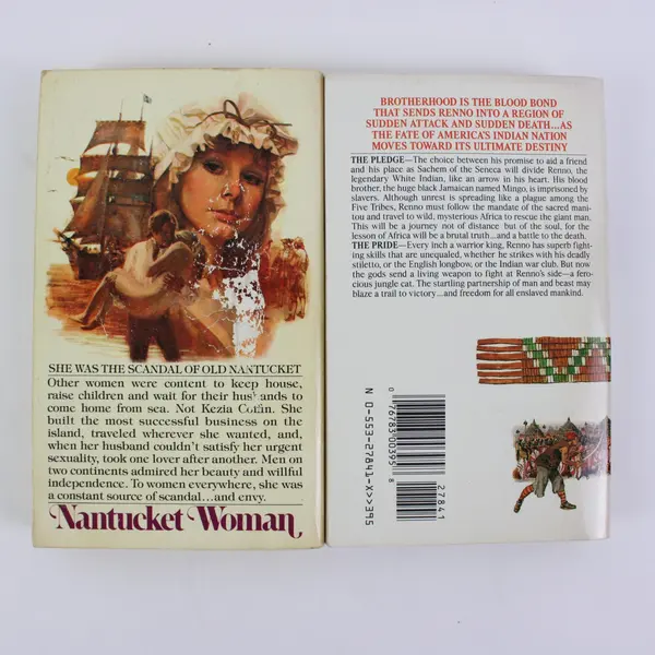 Lot of 2 PB Nantucket Woman Diana Gaines Seneca Warrior Donald Clayton Porter