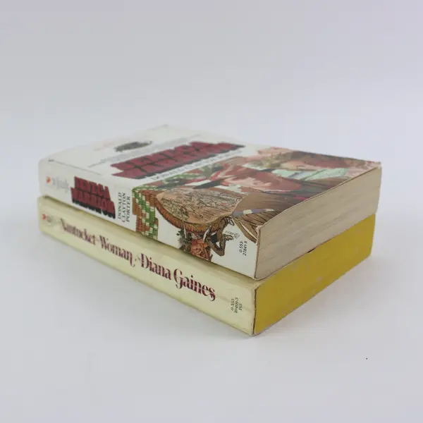 Lot of 2 PB Nantucket Woman Diana Gaines Seneca Warrior Donald Clayton Porter