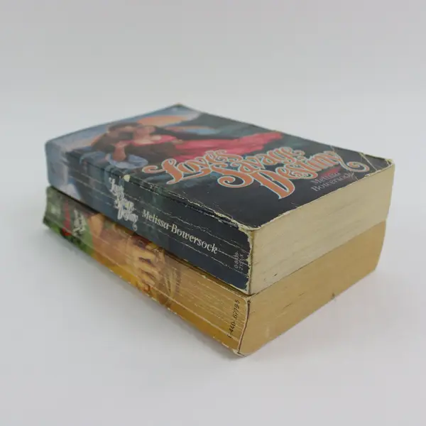 Lot of 2 Paperback Romance Oriana Vayle Love's Savage Destiny Bowersock