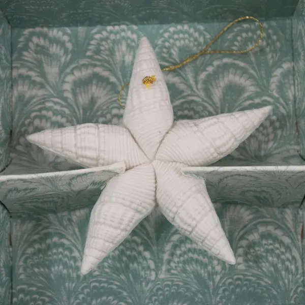 Margaret Furlong Morning Star Bisque Porcelain Shell Star Ornament Original Box