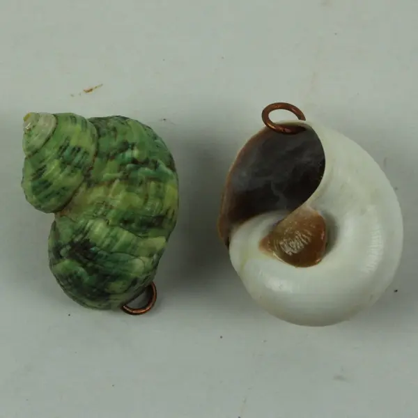 Lot of 20 Shell Ornaments Coastal Holiday Decor Crafts