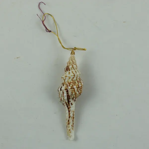 Lot of 20 Shell Ornaments Coastal Holiday Decor Crafts