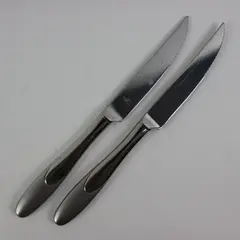 Lot of 2 Oneida Paramount Hollow Handle Stainless Steak Knives 9.5"