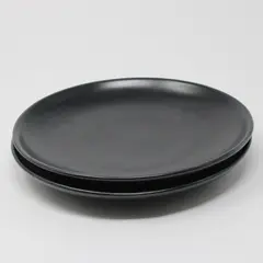 Set of 2 Matte Black Porcelain Salad Plates Modern Minimalist