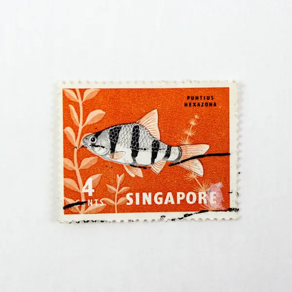 Lot of 5 Singapore 1960s Stamps Fish Folk Dancing Used