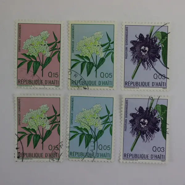 Haiti 1965 Scott 532-534 Flower Postage Stamps Used Set of 6