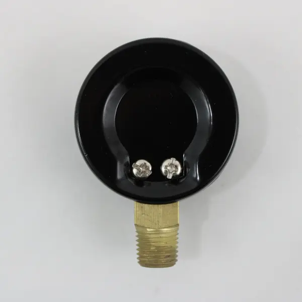 Pond Filter Pressure Gauge 1124DSB30 BD/X