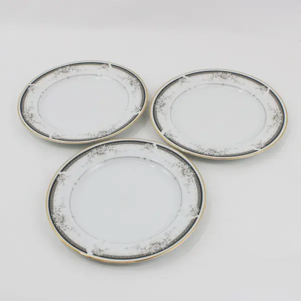 Meridian Fine China Moment Salad Plates Set of 3 A-6