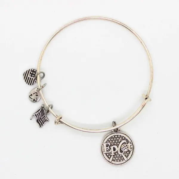 Disney EPCOT Charm Bangle Bracelet Silver Tone Expandable