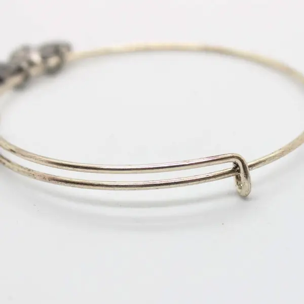 Disney EPCOT Charm Bangle Bracelet Silver Tone Expandable