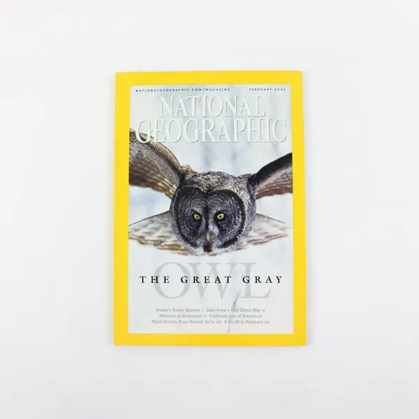 Vintage February 2005 National Geographic Magazine The Great Gray Owl Good
