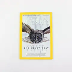 Vintage February 2005 National Geographic Magazine The Great Gray Owl Good