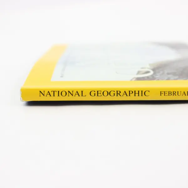 Vintage February 2005 National Geographic Magazine The Great Gray Owl Good