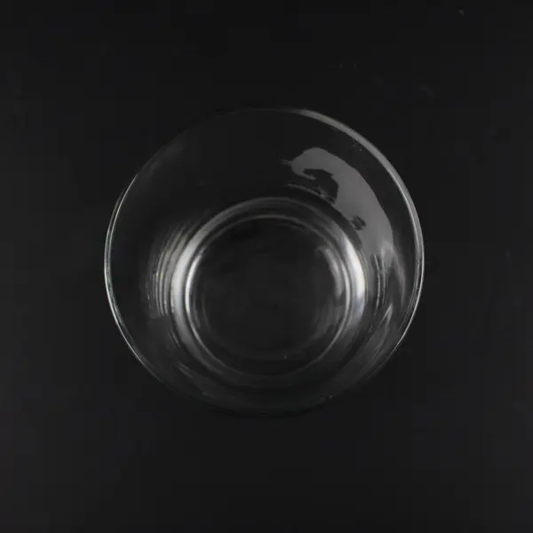 Georg Jensen Etched Endangered Wildlife Elephant Old Fashioned Bar Glass