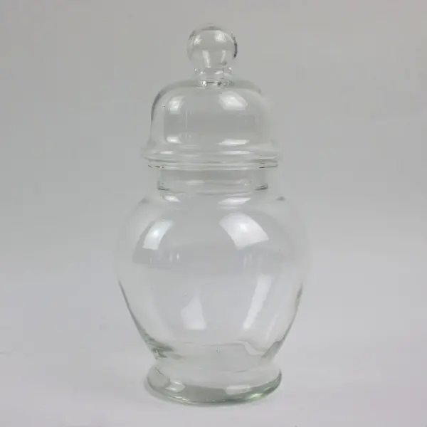 Clear Glass Apothecary Candy Jar Removable Lid Ginger Jar 7.25in