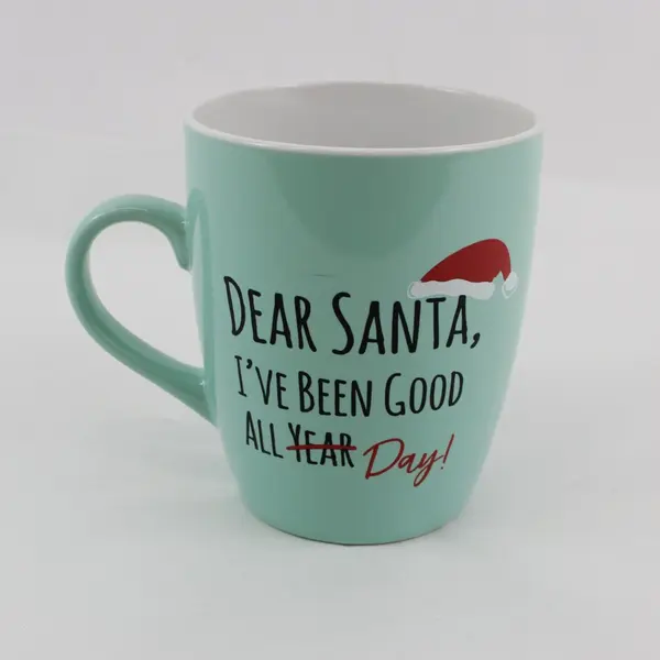 Holiday Home Christmas Mug Mint Teal Dear Santa Good All Year Crossed Out Day