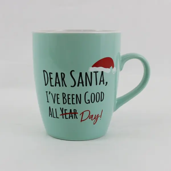 Holiday Home Christmas Mug Mint Teal Dear Santa Good All Year Crossed Out Day