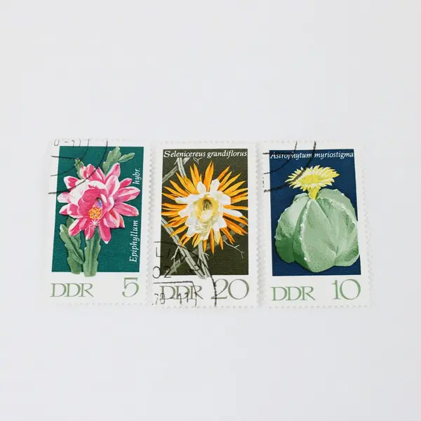Lot Of 10 East Germany DDR Used Canceled Stamps Sports Flowers Transport