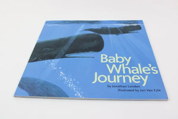 Baby Whales Journey Jonathan London Jon Van Zyle 2000 Paperback Children's Book