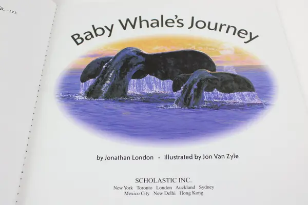 Baby Whales Journey Jonathan London Jon Van Zyle 2000 Paperback Children's Book