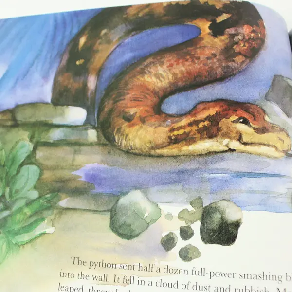 The Jungle Book by Rudyard Kipling Paperback Troll Illustrated Classics 1993