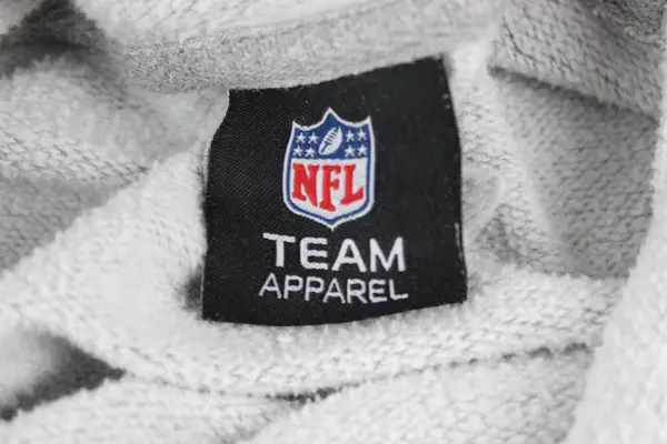 Seattle Seahawks NFL Team Apparel Gray Hoodie Men's NFC West