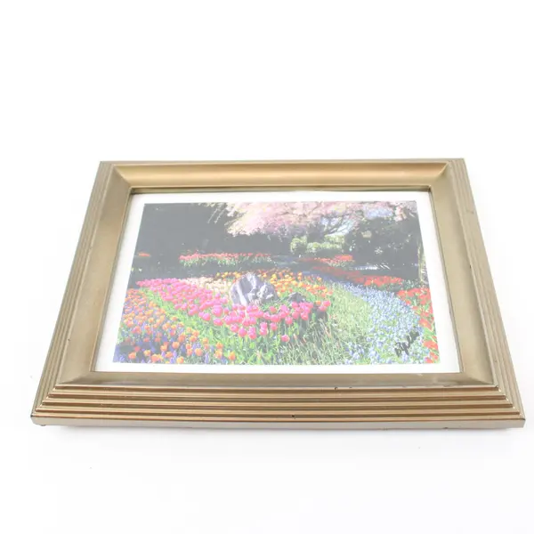 Framed Color Tulip Photograph Desk Wall Display 8.5 x 6.5 in