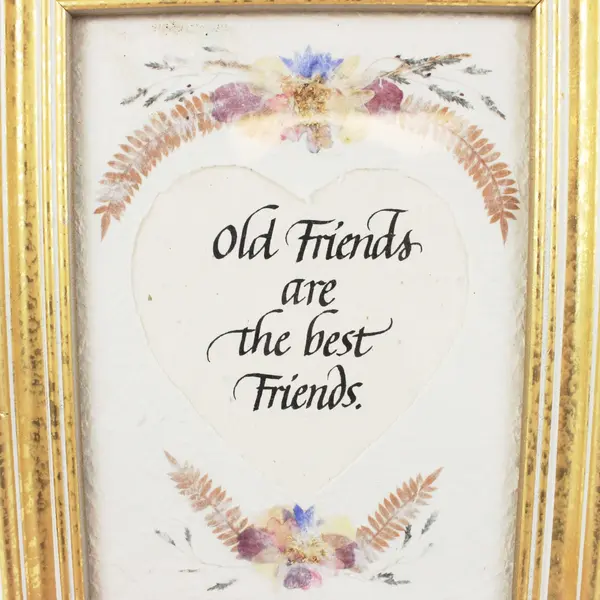 Framed Wall Art Old Friends Are the Best Friends Floral Gold Frame 14x11