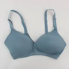 Warners Blue Wireless Bra Women's Size 36C Pre-Owned
