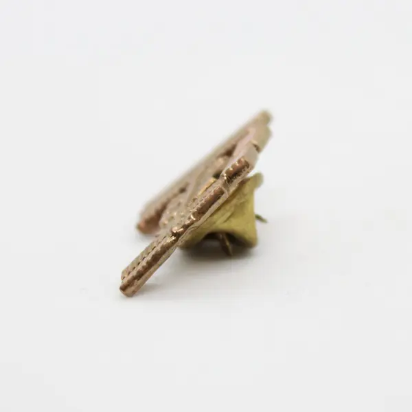 NASA ISS International Space Station Lapel Pin