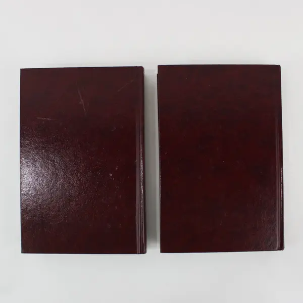 Lot of 2 The Gideons Holy Bible Hardcover Burgundy Gold Lettering