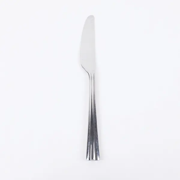 Reed & Barton Stainless Steel China Butter Knife 9 Inch