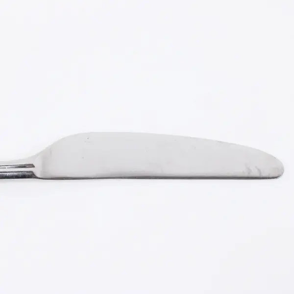 Reed & Barton Stainless Steel China Butter Knife 9 Inch