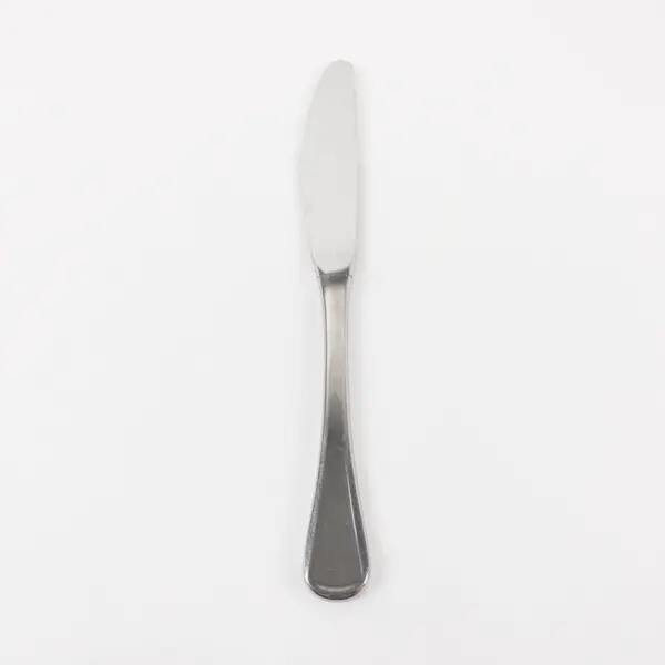 WMF Spain Stainless Steel Hollow Handle Dinner Knife